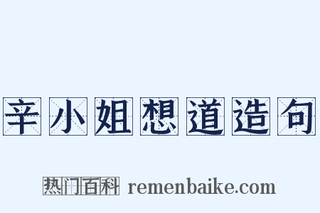 辛小姐想道造句是什么意思的图片